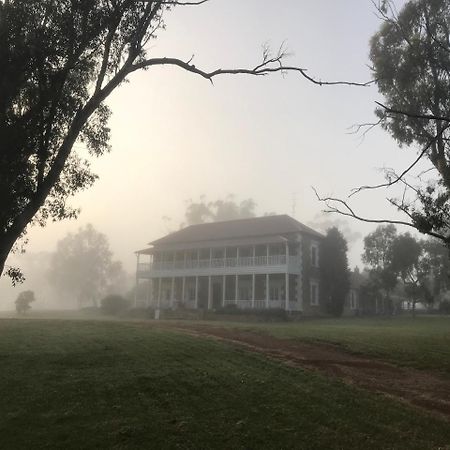 Dempster Cottage Irishtown Ngoại thất bức ảnh